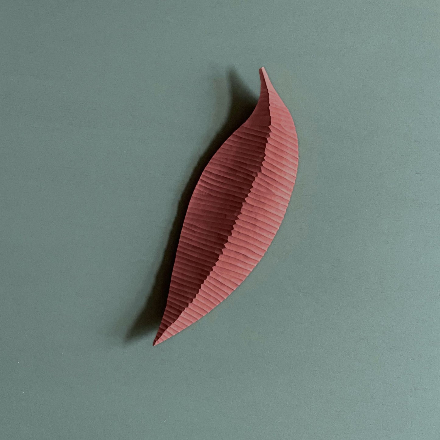 LETTING GO – Colour