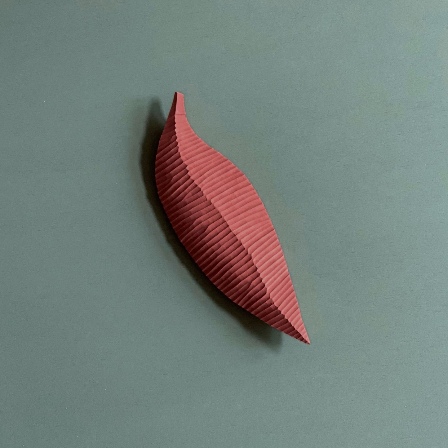 LETTING GO – Colour