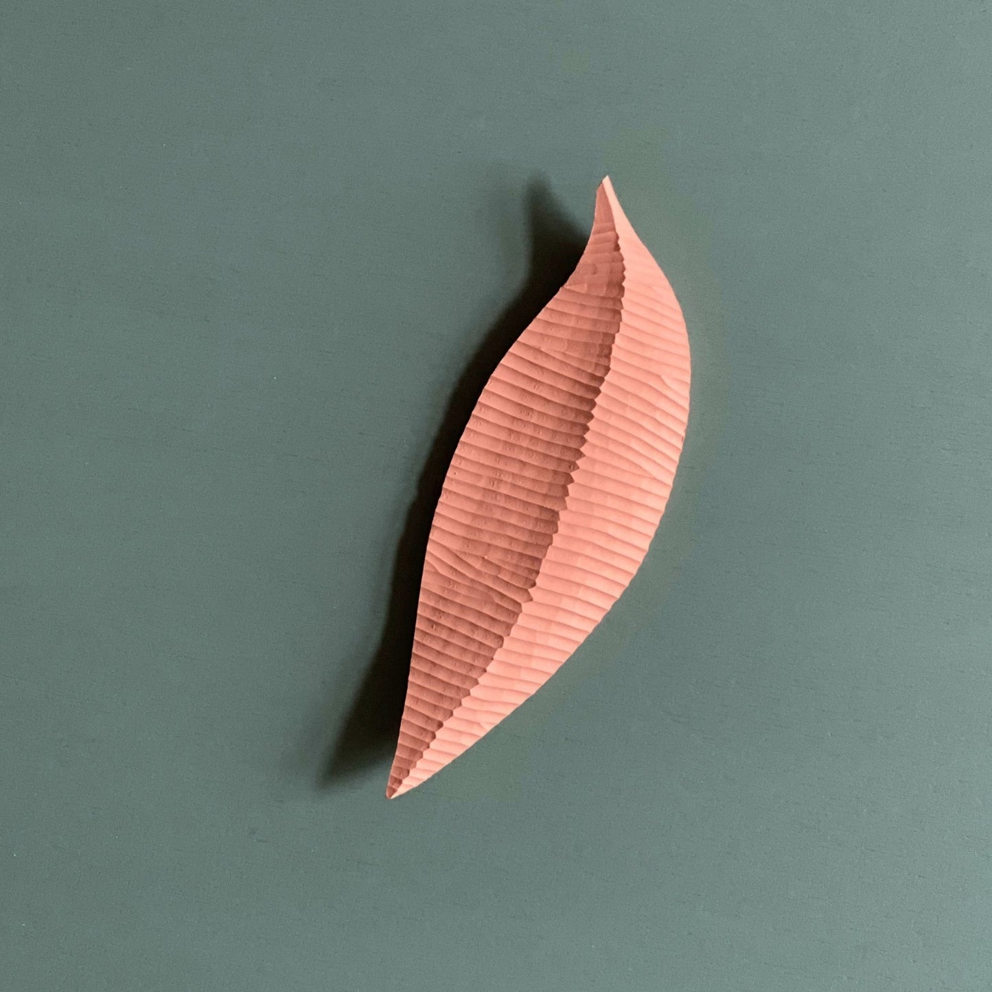 LETTING GO – Colour